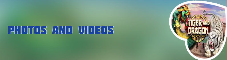 Dragon and tiger casino game