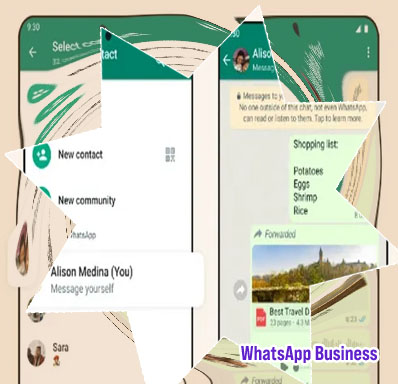 How do i contact sky247 on whatsapp