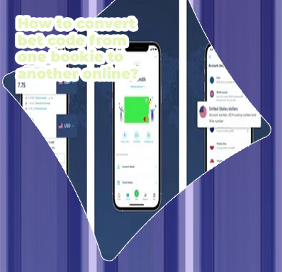 How to transfer money from sky247